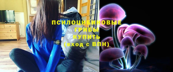 твердый Кулебаки
