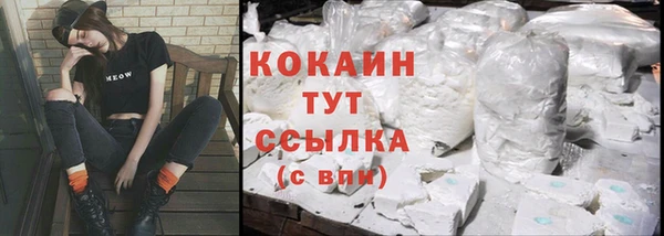 твердый Кулебаки