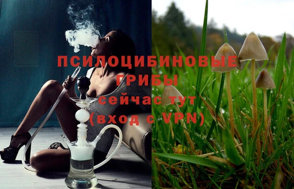 mdpv Лагань