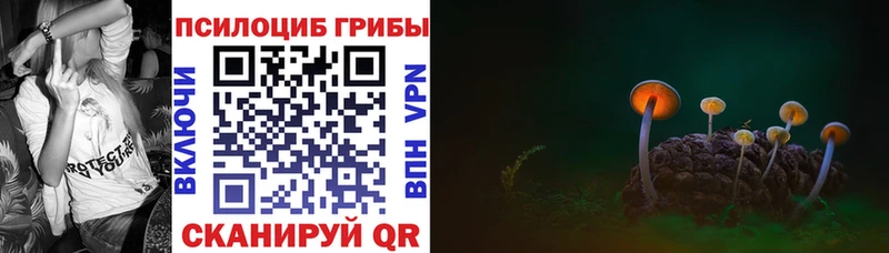 Псилоцибиновые грибы Psilocybe KRAKEN ССЫЛКА Оренбург