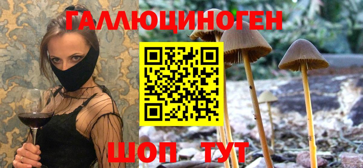 Галлюциногенные грибы прущие грибы  Вход с VPN  Оренбург 